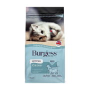 Burgess Kitten