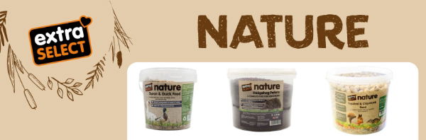 Natural Dog Treats