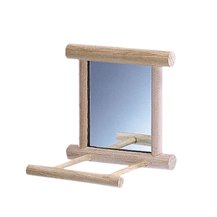 Nobby Mirror with Landing Place