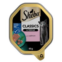 Sheba Classics In Terrine With Salmon Tr