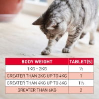 Beaphar 1000273 WORMclear Cat Tablets 1x