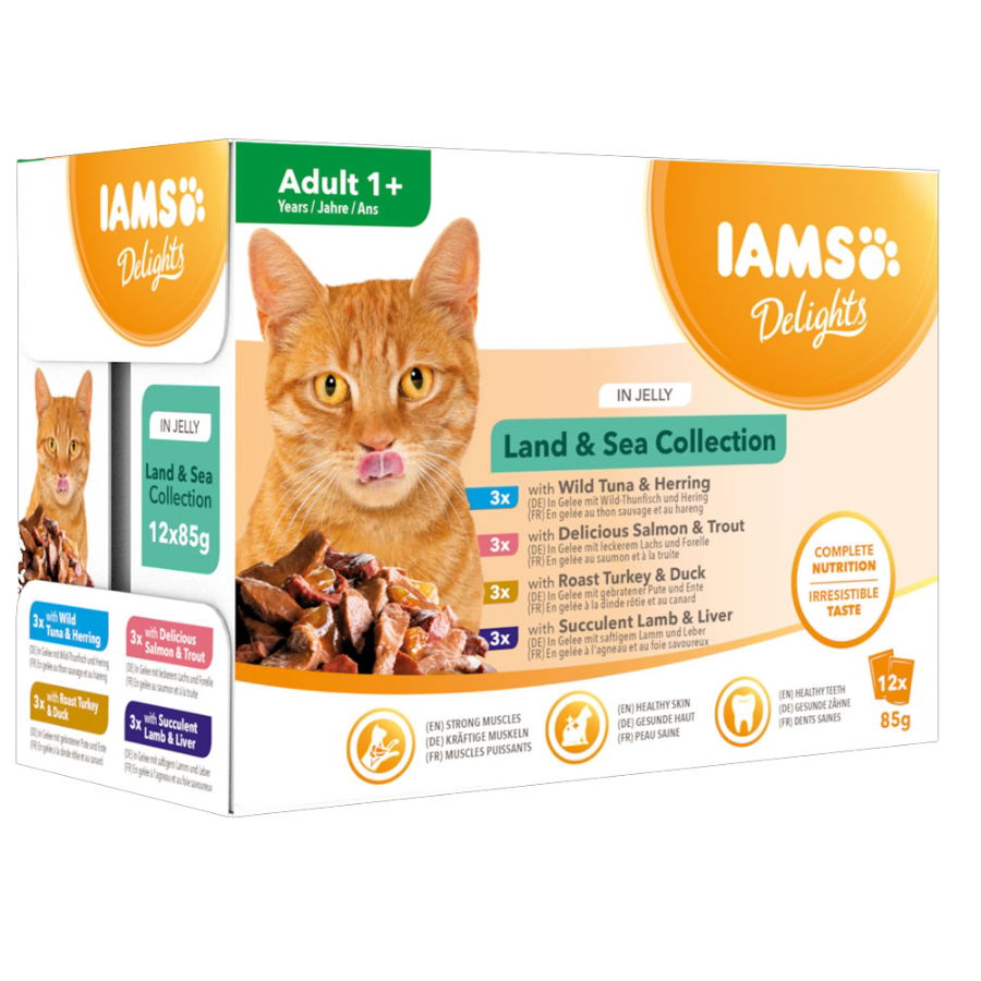 Iams Cat Delights Land & Sea Collection