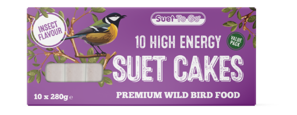 Suet To Go Insect Blocks