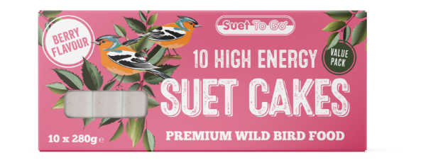 Suet To Go Berry Blocks