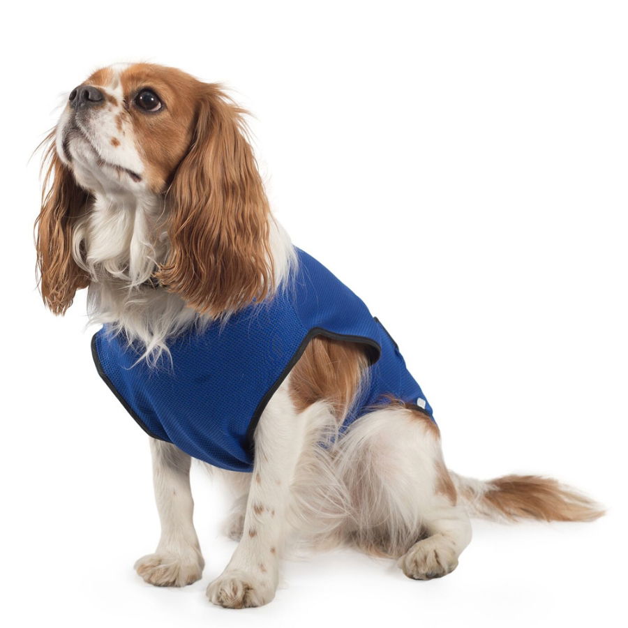 Ancol 979400 Dog Cooling Coat Large