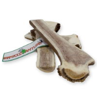 11STAG12