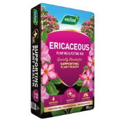 Westland Ericaceous Planting & Potting M