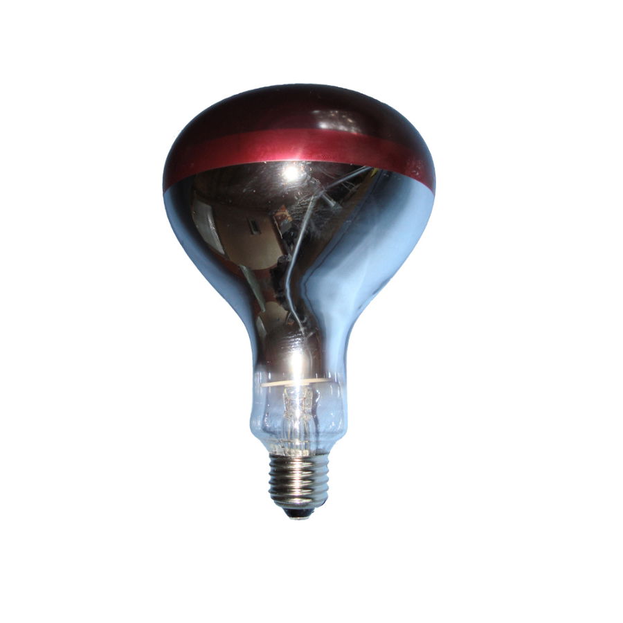 10BULB