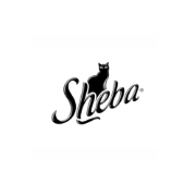 Sheba