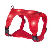 Nobby Flash Mesh LED Harness