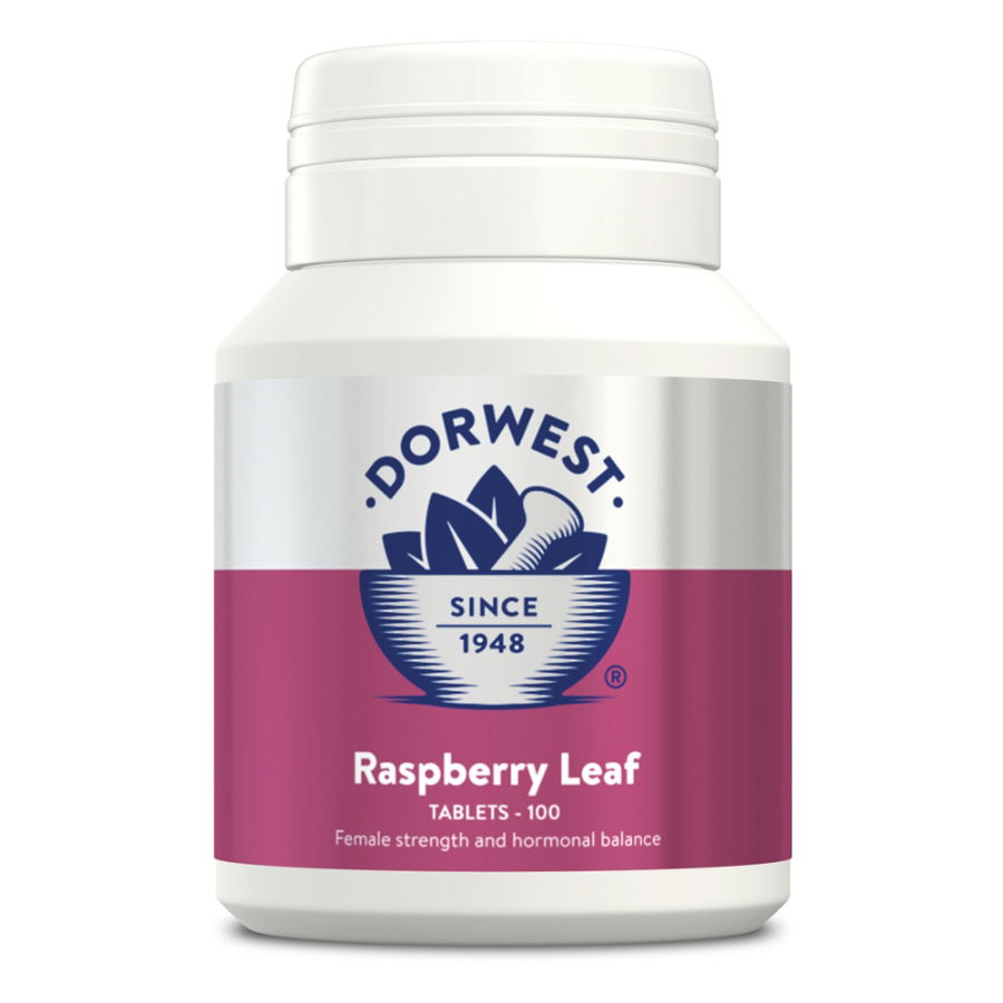 Dorwest Raspberry Leaf