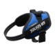 Julius-K9  IDC Power Harness Blue