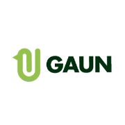 Gaun