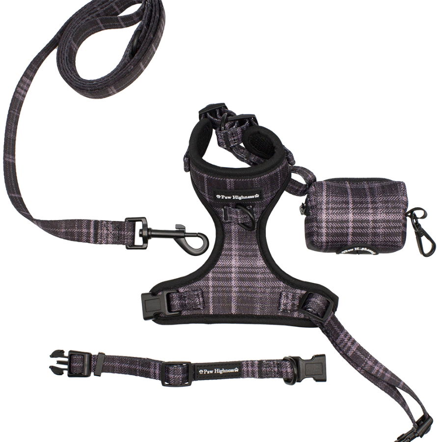 Paw Highness Doggy Walk Bundle Black Tartan