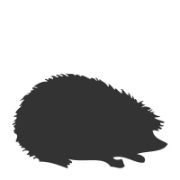 Hedgehog